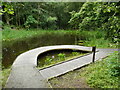 Dipping platform, Doune Ponds