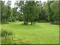 Picnic tables