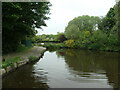 Disused canal arm, Parbold