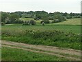 SD5208 : Haymaking at Ayrefield Farm by Christine Johnstone