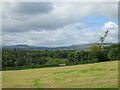 SE0790 : Looking west through Wensleydale by T  Eyre