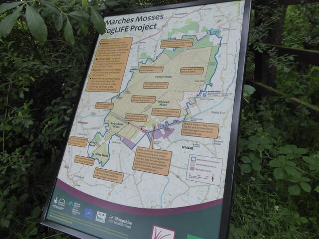 Information board at Whixall Moss on the Boglife Project
