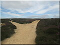 SE7293 : Track  split  on  Spaunton  Moor by Martin Dawes