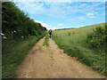 Cyclist on the Wychwood Way approaching Kingstanding Farm