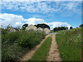 Approaching Kingstanding Farm