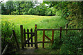 Path down to Tricket Brook