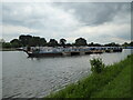 Part of the marina on the Prees branch of the Ellesmere Canal