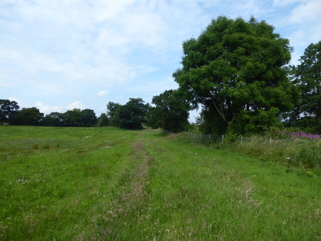 Field edge footpath line