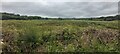 Teifi Marshes Nature Reserve