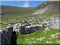 NF1099 : St Kilda - view across cleitean from within enclosure by Rob Farrow