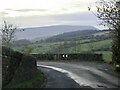 Pasture Lane heading to Roughlee