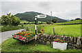 Fields and floral display at Tirinie