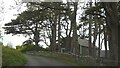 Chapel in the trees