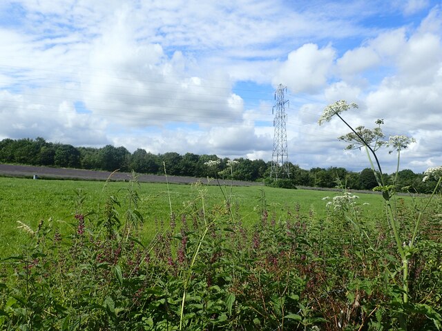 Pylon near Castle Farm