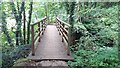 Footbridge over stream tributary to River Eden