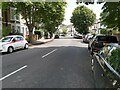 Tree-lined Street