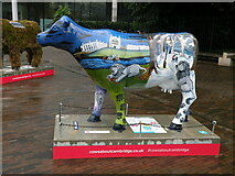 TL4557 : Cows about Cambridge 9: Wandering Lions by Keith Edkins
