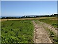 Fields with a view near Tregadjack