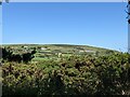 Looking towards Rosewall Hill