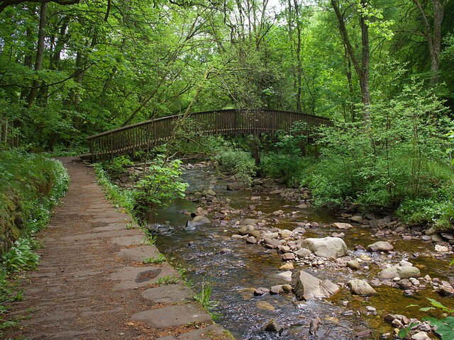 Colin's Bridge