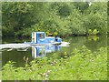 ?Will Scarlet? on the River Trent