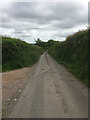 Typical country lane with high hedge banks