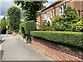 A welcoming hedge, Florence Road, Wylde Green, north Birmingham