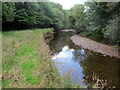 Llwybr glanafon / Riverside path