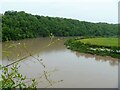 Chepstow Castle [9]