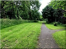 H4772 : Path, Riverview, Omagh by Kenneth  Allen