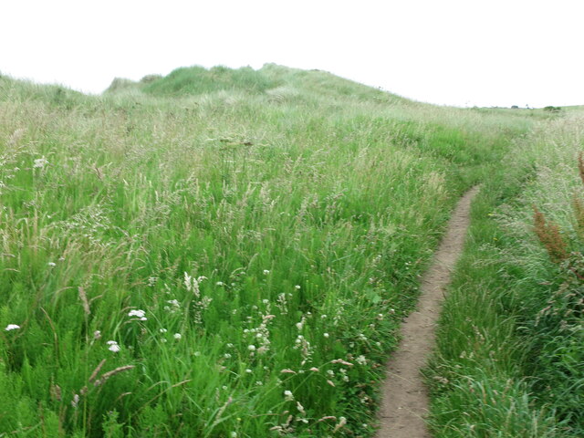 England Coast Path near Low Hauxley