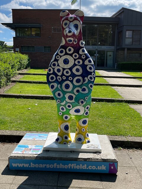 Bears of Sheffield: #45 Eyeballs