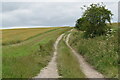 Track onto downs, near Manor Farm Cottages