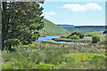 The northern tip of Llyn Clywedog