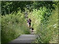 Dog walker on Bowes Railway Path