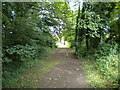 Footpath off Hurstwood Road, Loughborough (2)