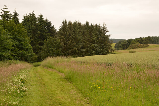 Public Footpath from Hay Farm to Etal Rhodes, Northumberland