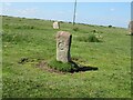 SX1375 : Old Boundary Marker on Manor Common, Blisland by P G Moore