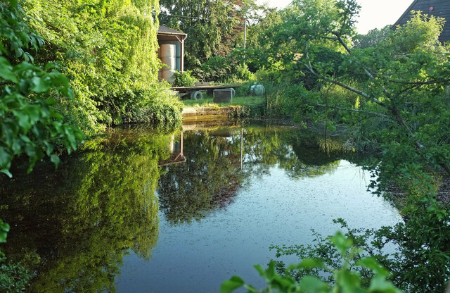 Pond, Hill House Farm by Derek Harper