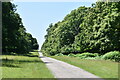 The Chestnut Walk, Knole Park