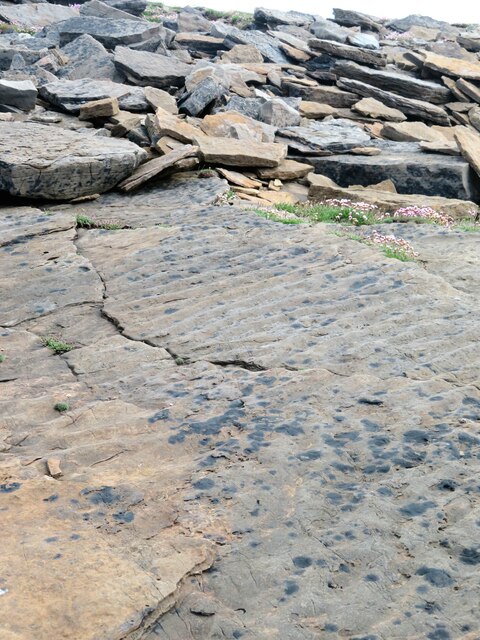 Fossil ripple marks in sandstone