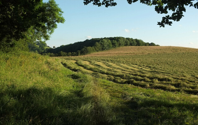 Cut hay by Vinesyard Farm by Derek Harper