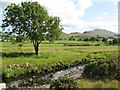 Afon Dyfrdwy meadows