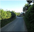 Hedge-lined road, Bettws Newydd, Monmouthshire