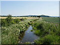 Glade Burn from Perryflats Road