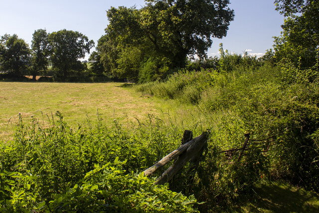 Hedgerow and field © P Gaskell cc-by-sa/2.0 :: Geograph Britain and Ireland