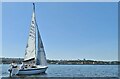 Yacht in Cardiff Bay