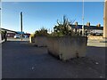 Concrete Planters, Pensarn