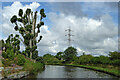 Canal near Baswich in Staffordshire