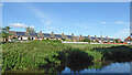 Sycamore Road housing in Stone, Staffordshire